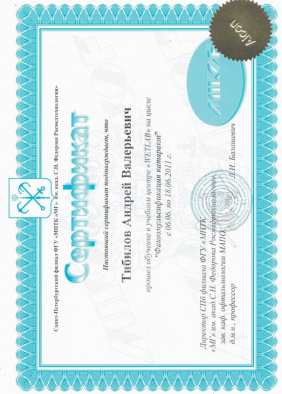 Тибилов Андрей Валерьевич